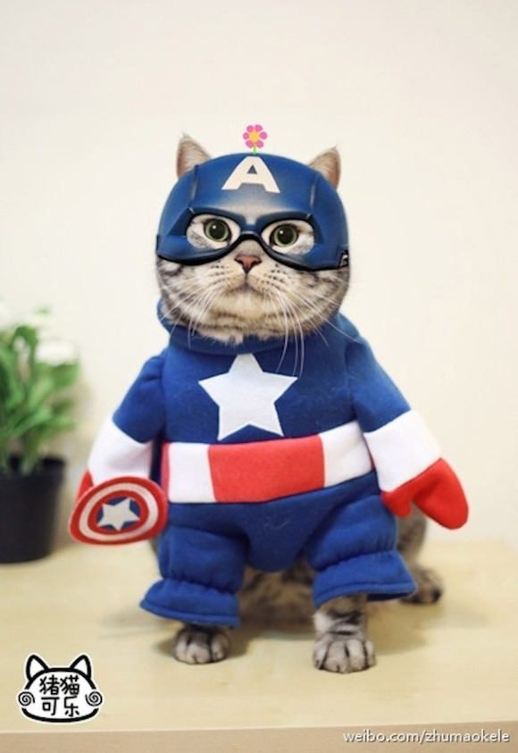 cosplay_kitty_heroes_zhumao_kele_4