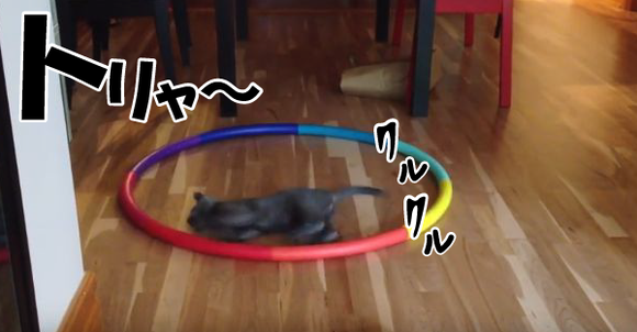 キャプチャリング600