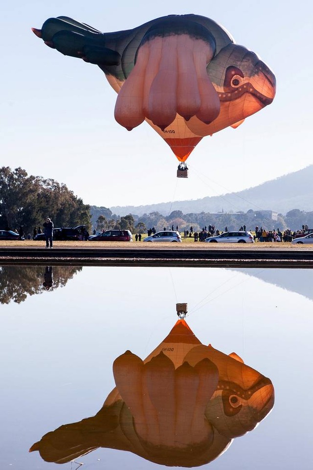 skywhale australlia canberra 8