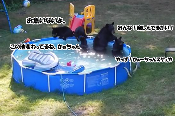 キャプチャリング600