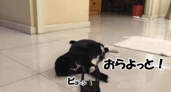 キャプチャリング600