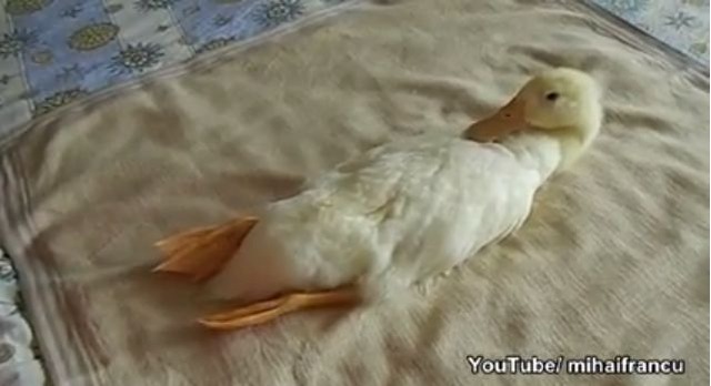 WS000000