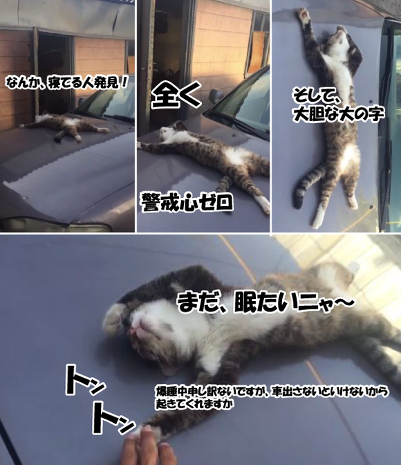 キャプチャリング600