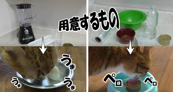 キャプチャリング600