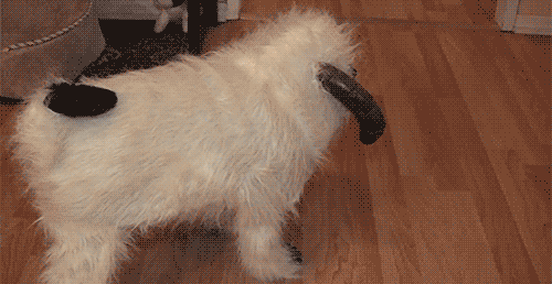 anigif_enhanced-buzz-19435-1369063599-2
