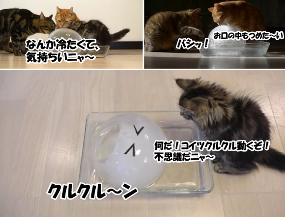 キャプチャリング600