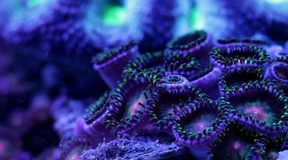 WS000012
