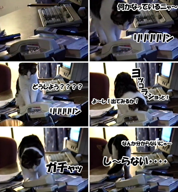 キャプチャリング600