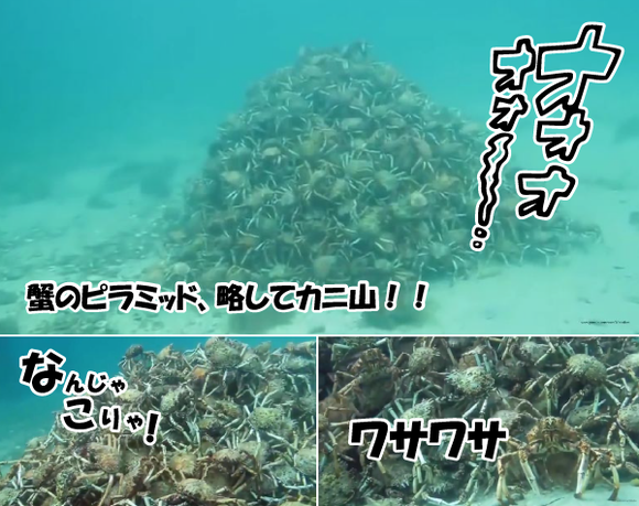 キャプチャリング600