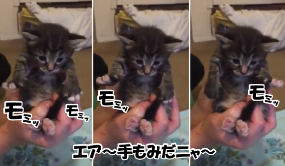 キャプチャリング600
