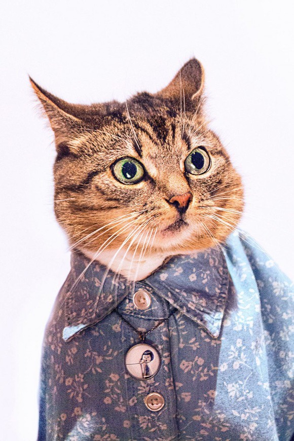 Cat-Couture-by-Jason-Mc-Groarty-9-677x1016