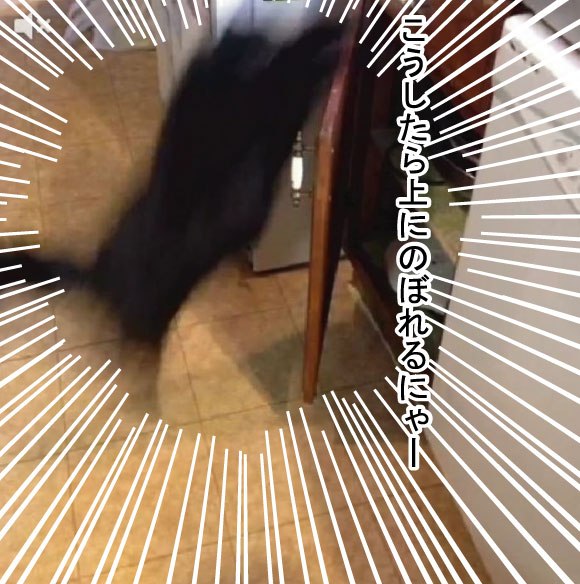 キャプチャリングロングロング