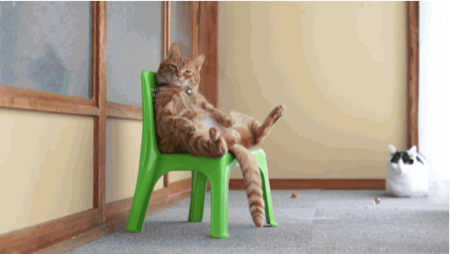 anigif_enhanced-23731-1402939580-13