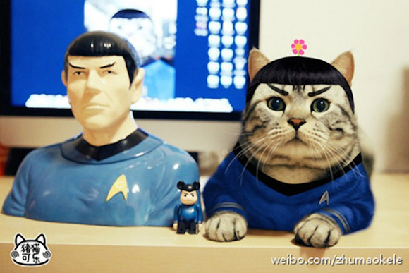 cosplay_kitty_heroes_zhumao_kele_l