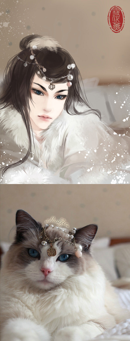 cats-anime-ladies-08