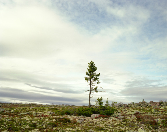 oldest-1