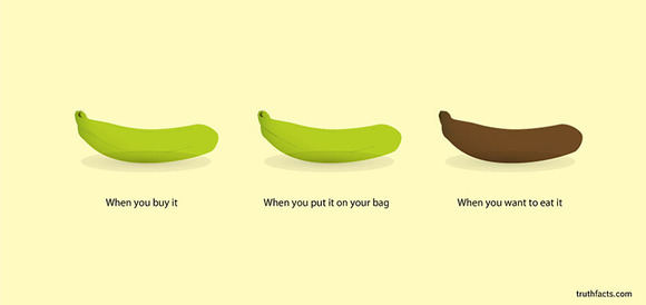 truth-facts-funny-graphs-wumo-28