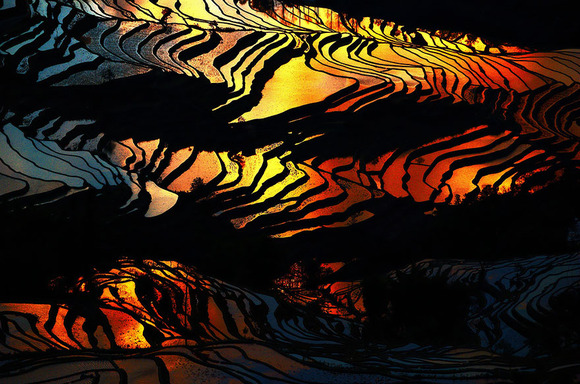 terraced-rice-fields-19__880