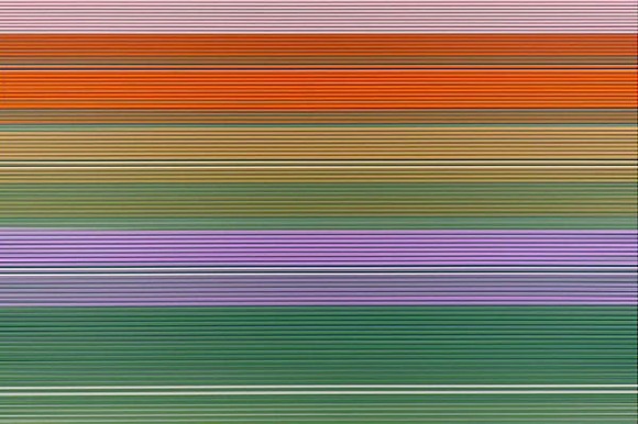 Simone-Sbaraglia02