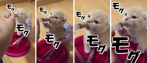 キャプチャリング600