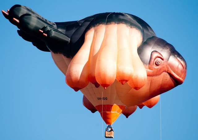 skywhale australlia canberra 7
