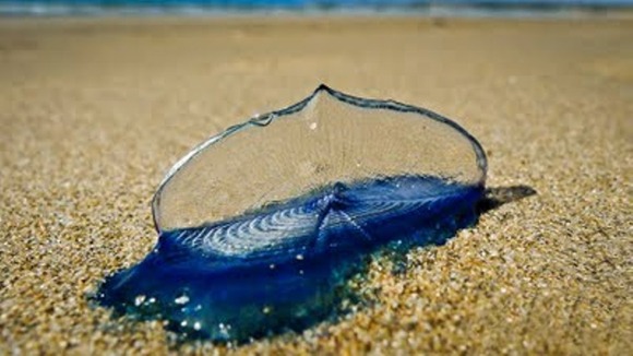 low-tide1