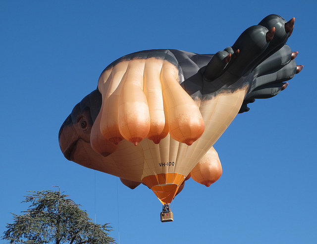 skywhale australlia canberra 2