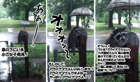 キャプチャリング600