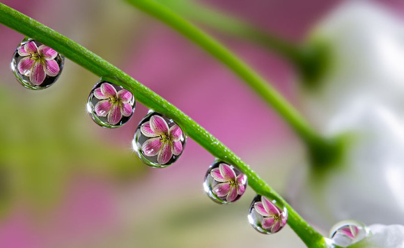 reflection-photography-5
