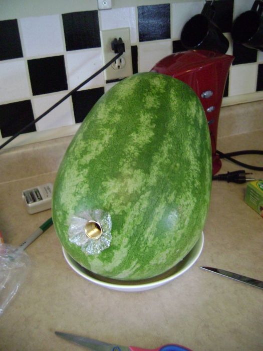 how_to_make_a_watermelon_keg_09
