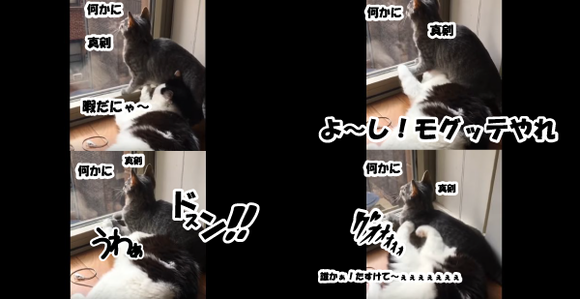 キャプチャリング600