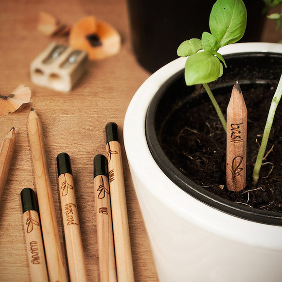 Sprout-pencil-feeldesain07