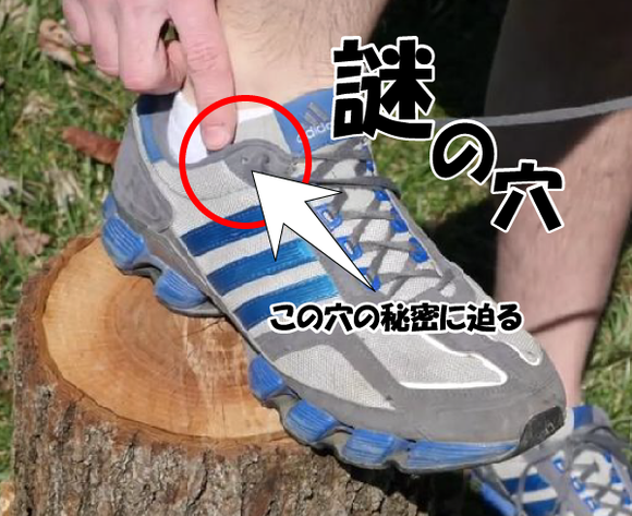キャプチャリング600