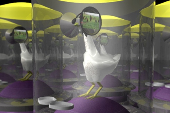 Second-Live-Stock-by-Austin-Stewart_dezeen_3