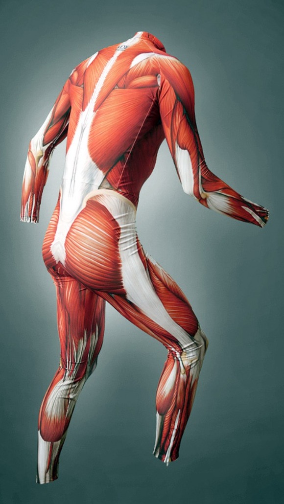 musclesuit04