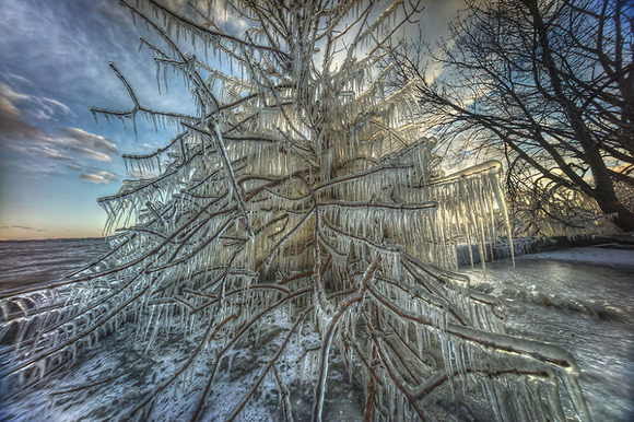 christmas-tree2__880