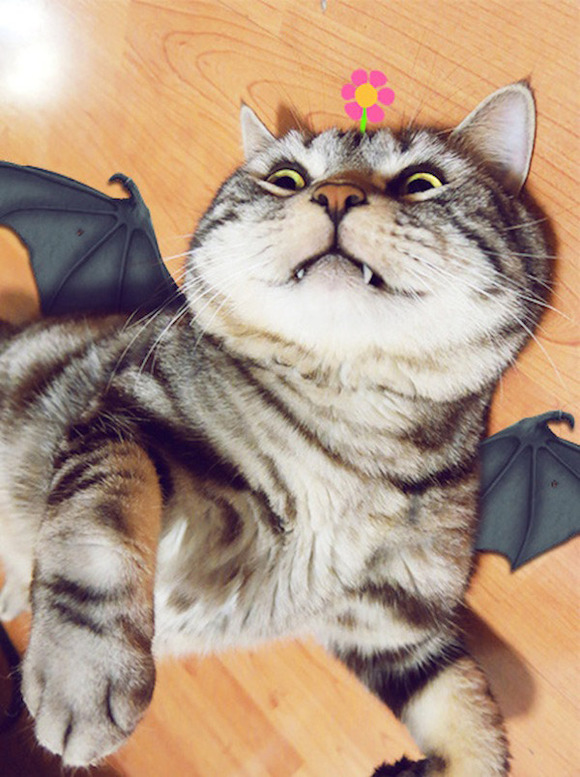 cosplay_kitty_heroes_zhumao_kele_3