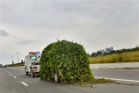 zombiecar4