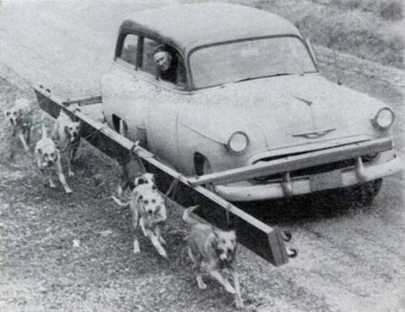 the-most-bizarre-old-timey-inventions-i-am-speechless-26