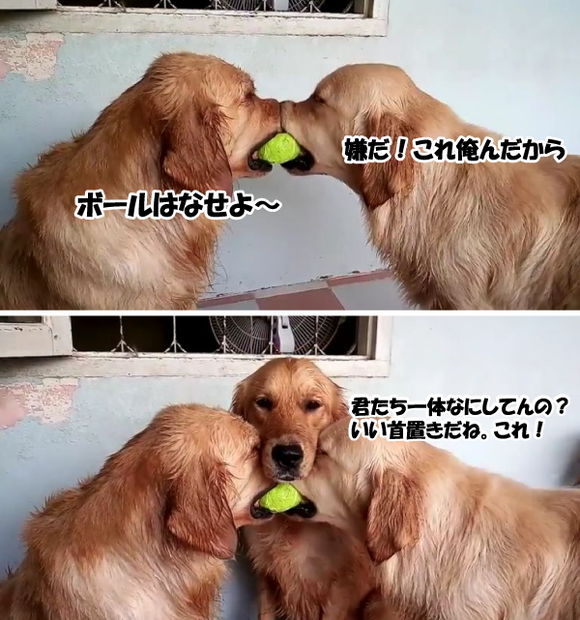 キャプチャリング600