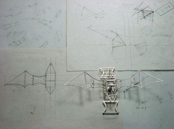 wing-drawing-600x446