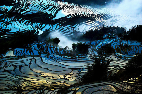 terraced-rice-fields-18__880