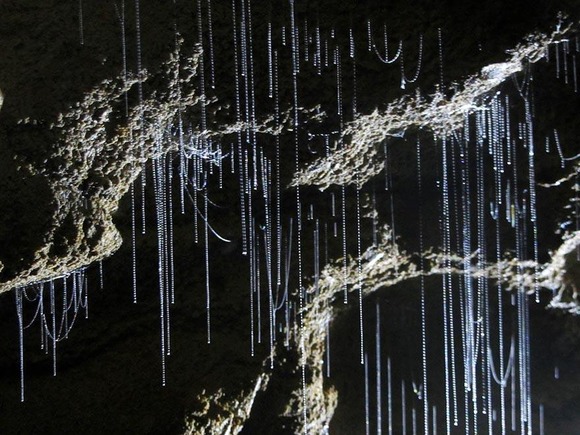 amazing-caves-5-3