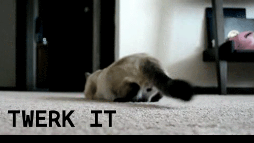 anigif_enhanced-buzz-16297-1368801150-7