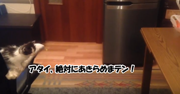 キャプチャリング600