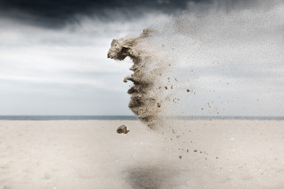 sand-creatures-claire-droppert-02