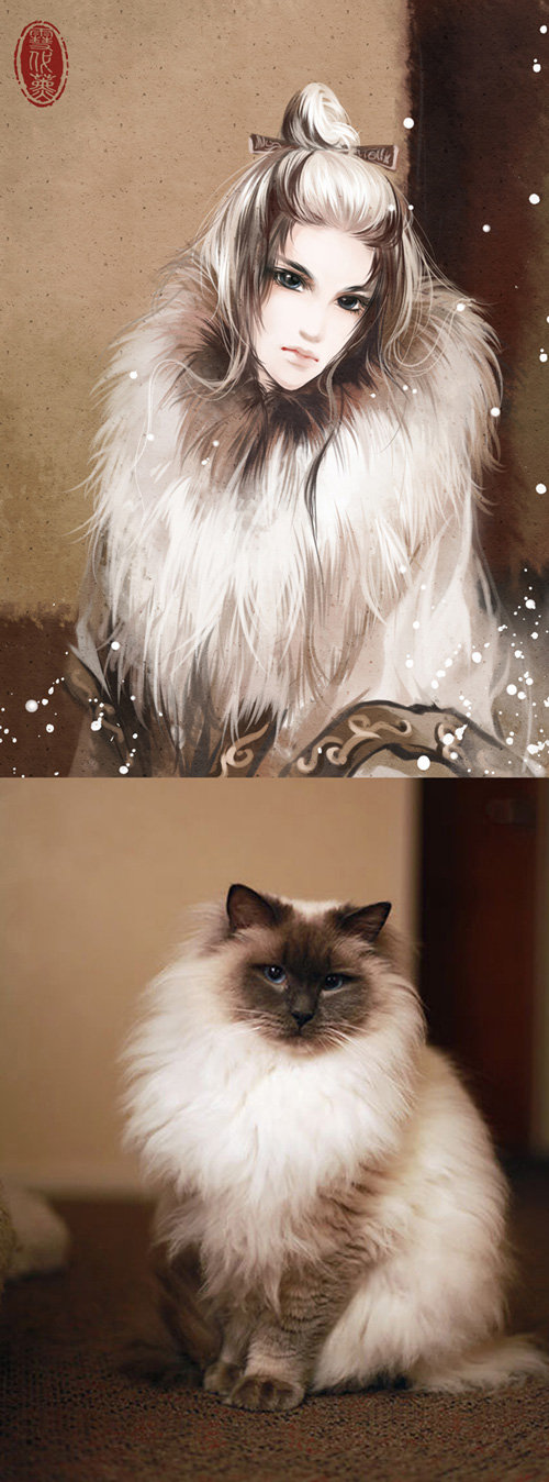 cats-anime-ladies-13