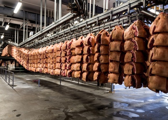 slaughterhouse-alastair-philip-wiper-8
