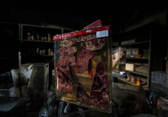 romain-veillon-urbex-ecole-veterinaire-6