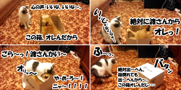 キャプチャリング600